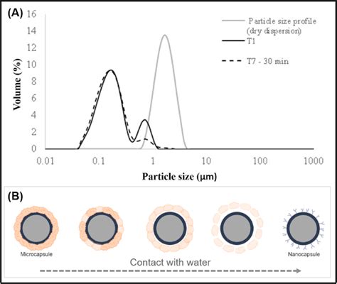 Dry method laser particle size Analyzer solution|laser diffraction particle size.